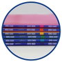 Oxford Cuaderno Grapado Cuadrícula 4x4 A5+ Colores Surtidos